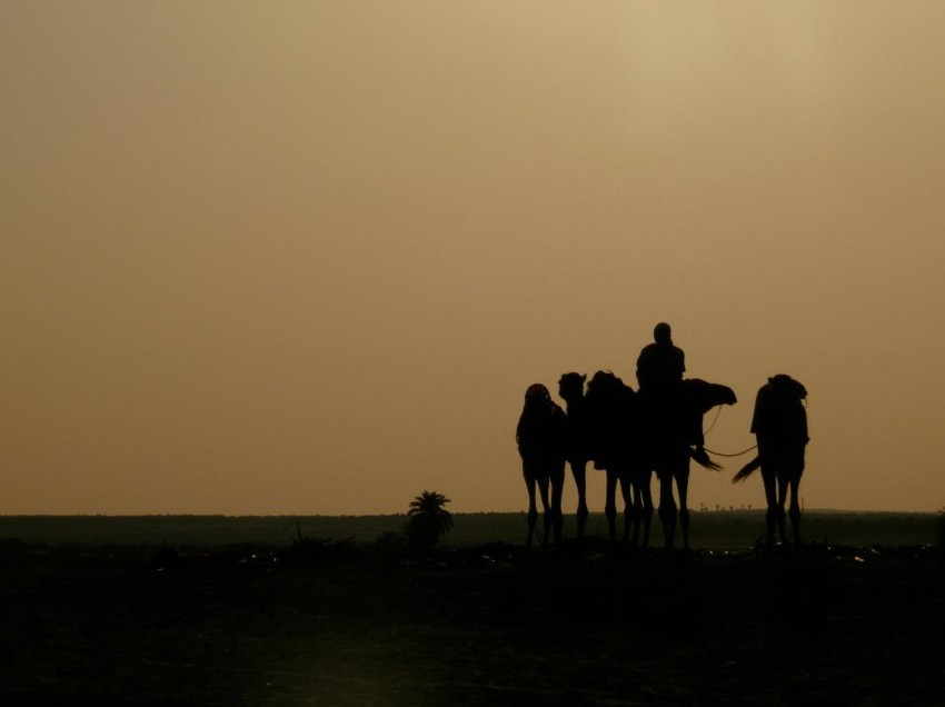 Rencontre voyage tunisie