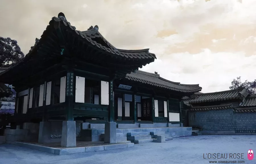 Séoul: le palais Changdeokgung et son jardin secret !