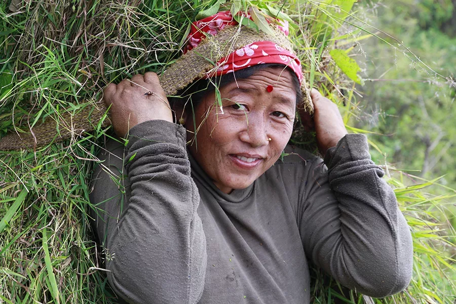 Bandipur : petit village perché au cœur des montagnes Népalaises