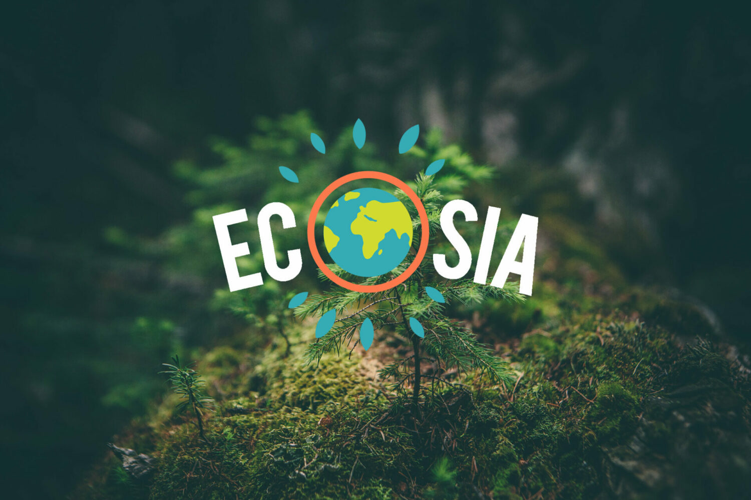 Ecosia, le navigateur qui plante des arbres