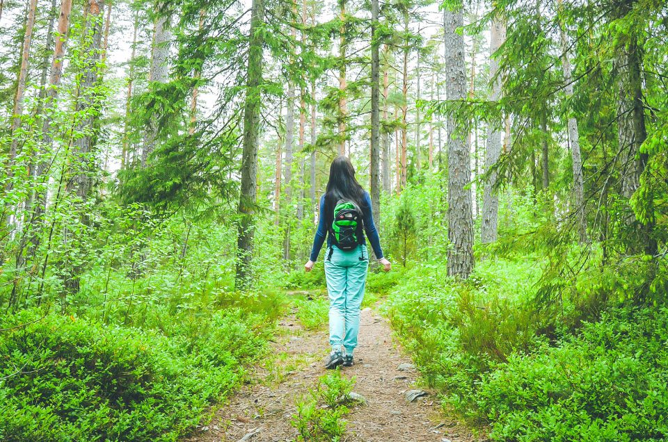 Une super randonnée dans la forêt Finlandaise