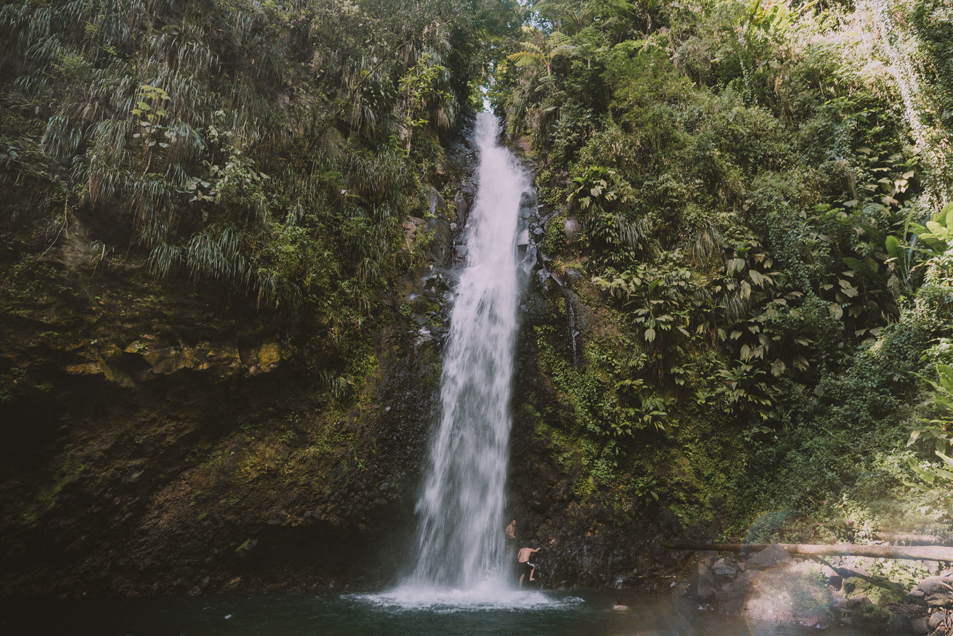 Randonnées pour voir des cascades en Martinique