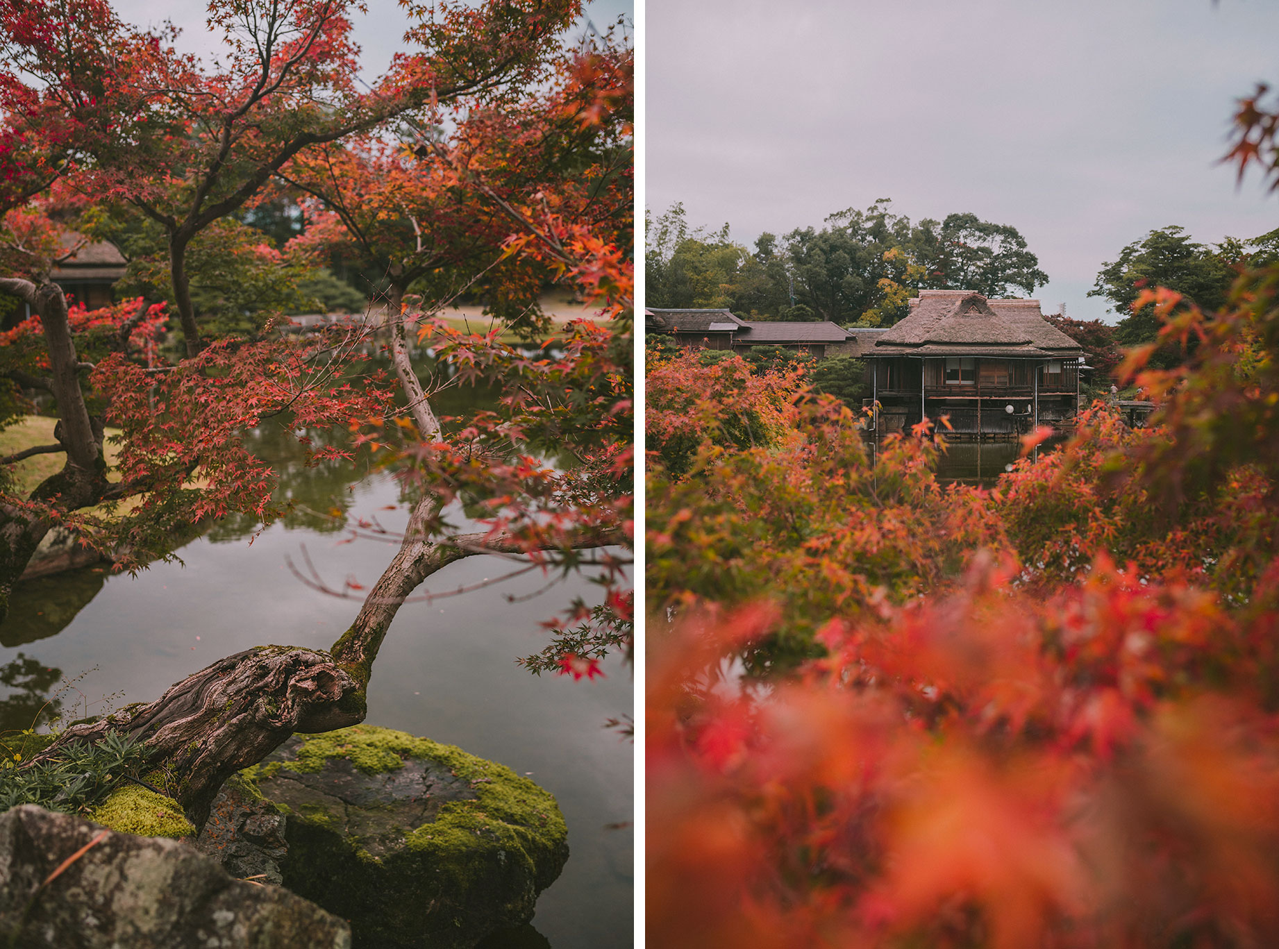 Jardin japonais genkyuen à Hikone