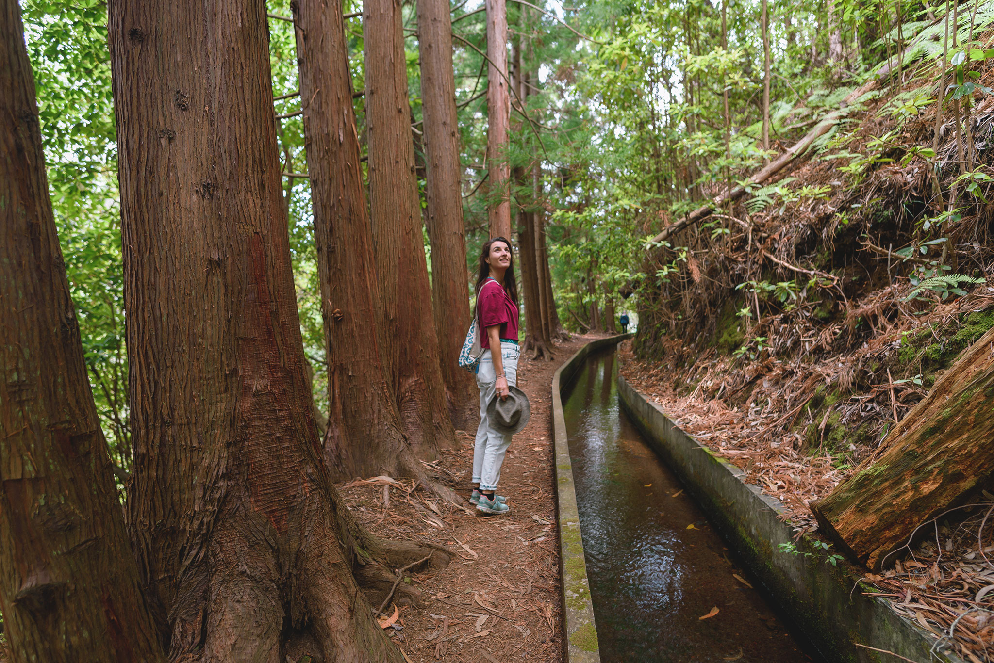 Levada à Madère