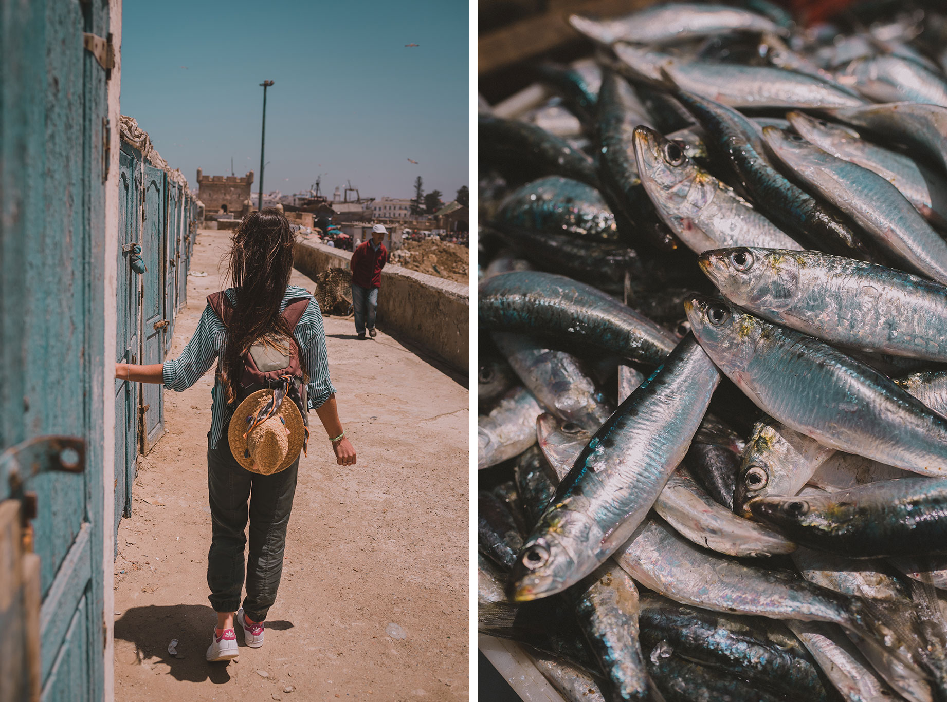 Ambiance au port d'Essaouira