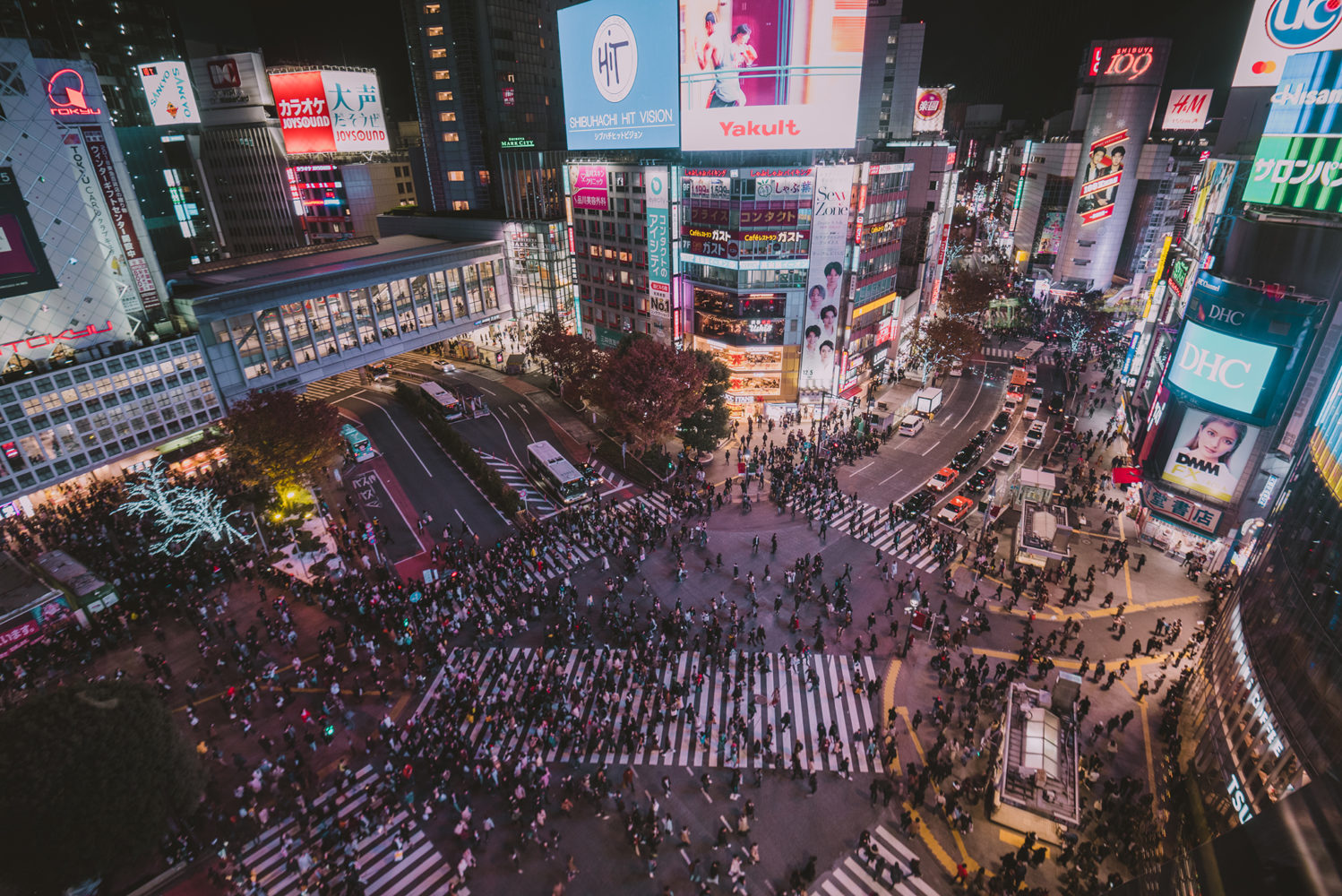 Les Principaux Quartiers De Tokyo à Visiter - L'Oiseau Rose