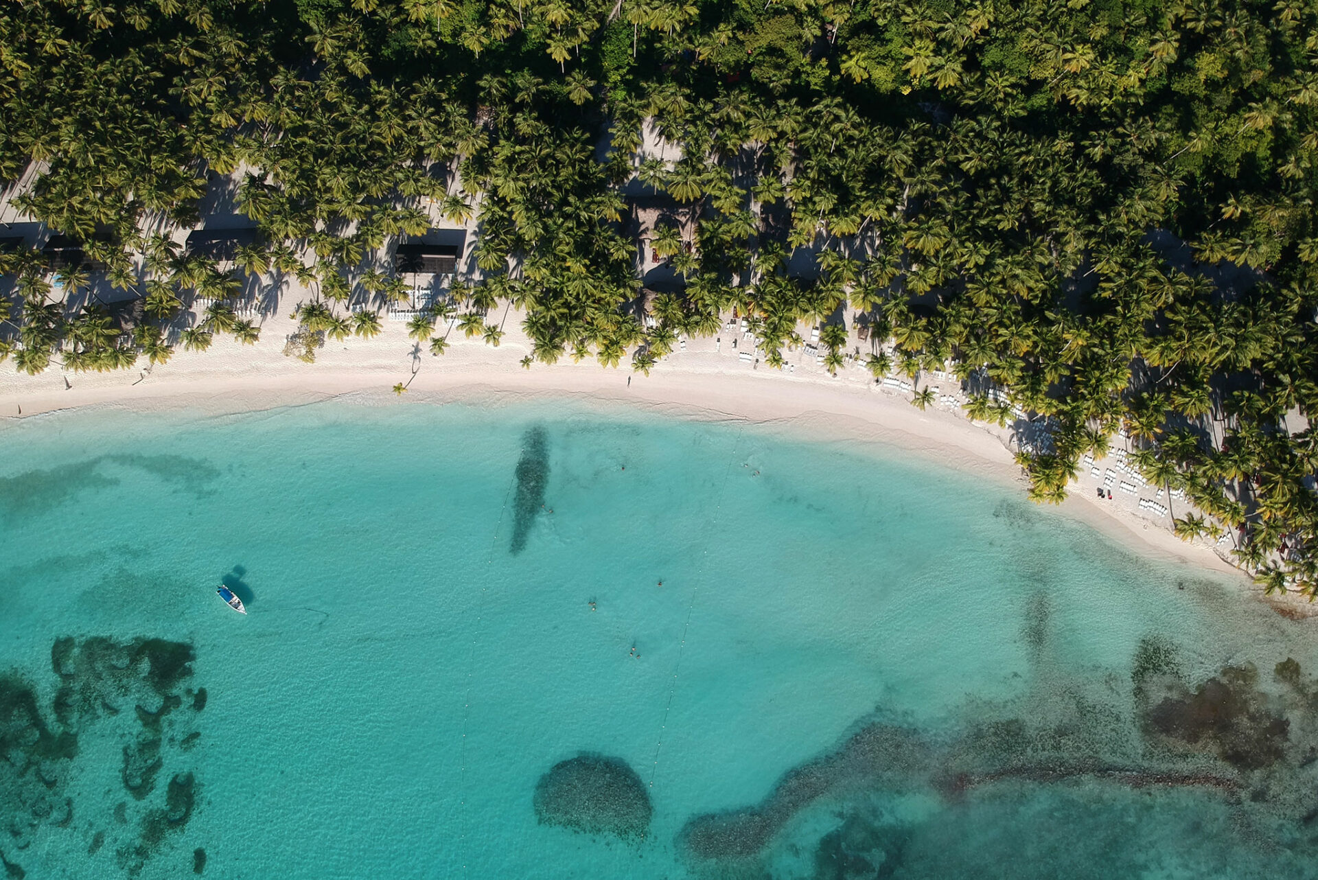 D Ou Viennent Les Touristes De Punta Cana