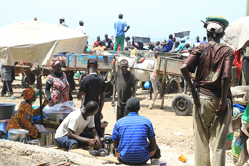 Voyage au Sénégal, rencontres et découvertes dans la bonne humeur !