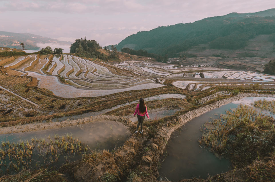 Découverte du sud Yunnan, avec les fameuses rizières en terrasse de Yuanyang