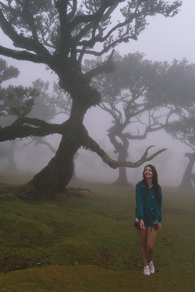 Arbres dans la brume à Fanal