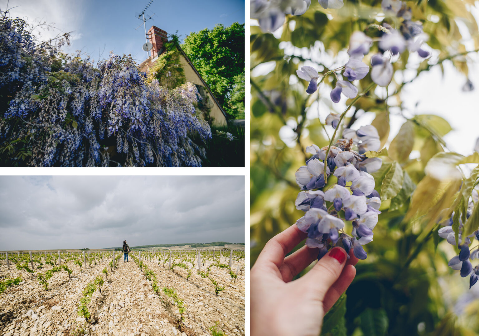 Le Berry Visiter le Berry, une province nature et hors du temps ! - L'Oiseau Rose
