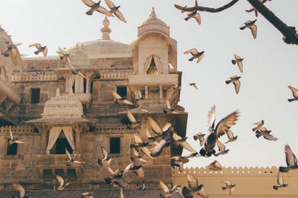 Pourquoi voyager en Inde est une expérience incroyable ?