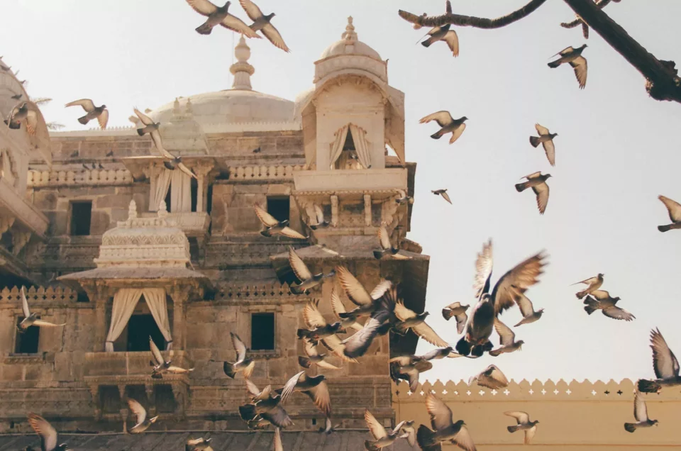 Pourquoi voyager en Inde est une expérience incroyable ?