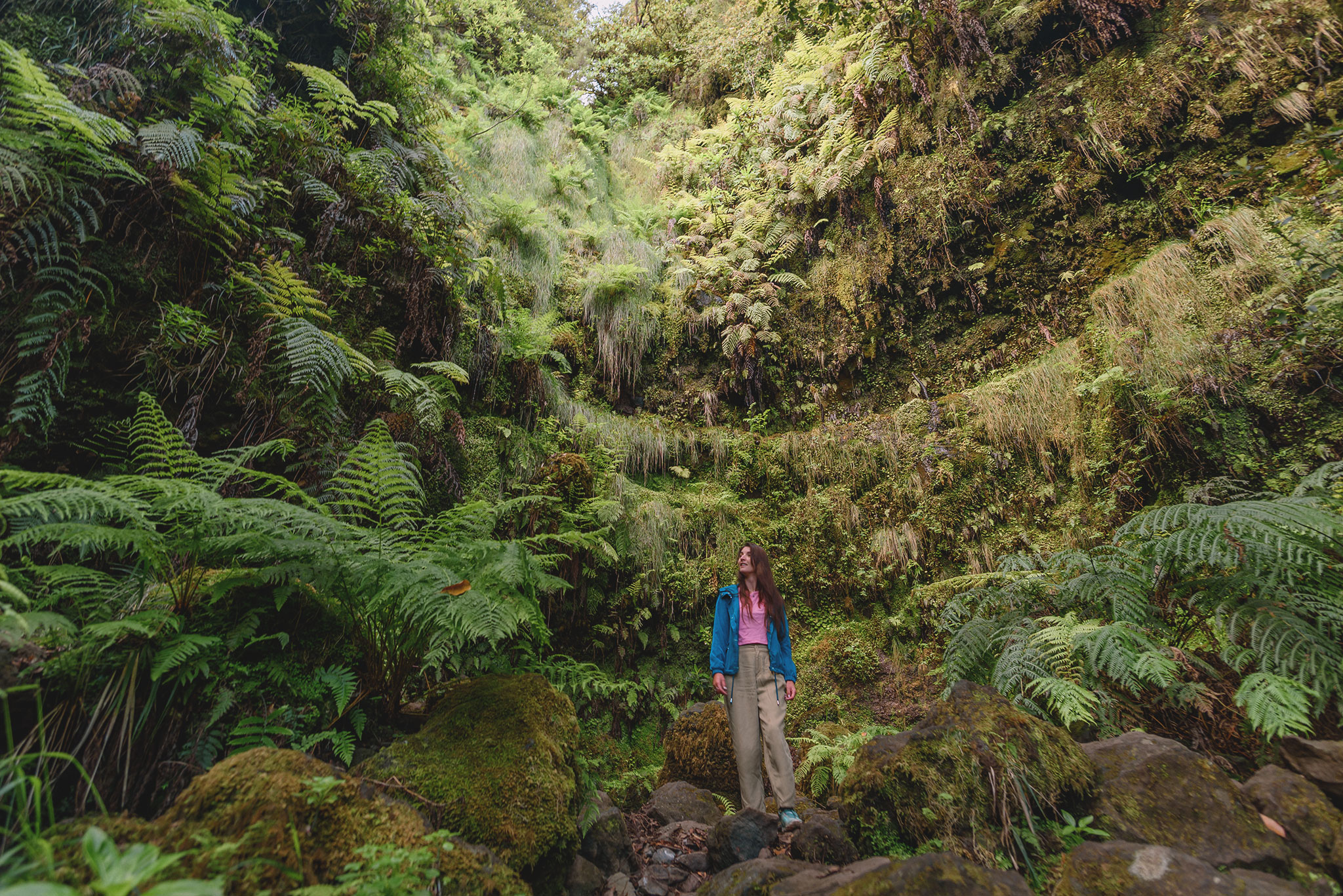 Parc national de Queimadas