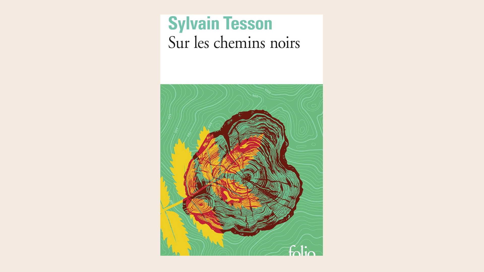 Récit de voyage en France, sur les chemins noirs de Sylvain Tesson